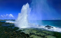 Desktop wallpaper. Nature. ID:30684
