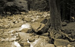 Desktop wallpaper. Nature. ID:30690