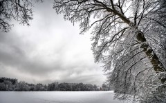 Desktop wallpaper. Nature. ID:30696