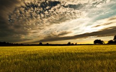 Desktop wallpaper. Nature. ID:51129
