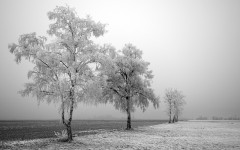 Desktop wallpaper. Nature. ID:30705