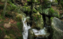 Desktop wallpaper. Nature. ID:30709