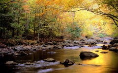 Desktop wallpaper. Nature. ID:30724
