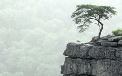 Desktop wallpaper. Nature. ID:30726