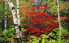 Desktop wallpaper. Nature. ID:30728