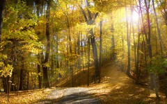 Desktop wallpaper. Nature. ID:30737