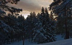 Desktop wallpaper. Nature. ID:30743