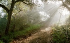 Desktop wallpaper. Nature. ID:30752
