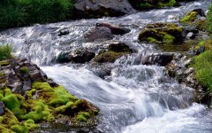 Desktop wallpaper. Nature. ID:30762