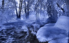 Desktop wallpaper. Nature. ID:30763