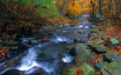 Desktop wallpaper. Nature. ID:30764