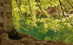 Desktop wallpaper. Nature. ID:30768