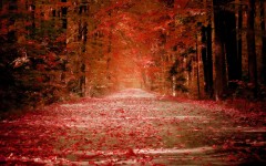 Desktop wallpaper. Nature. ID:30771