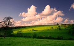 Desktop wallpaper. Nature. ID:30776
