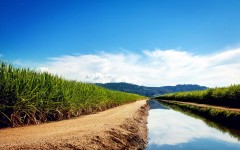 Desktop wallpaper. Nature. ID:51274