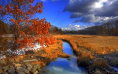 Desktop wallpaper. Nature. ID:30793
