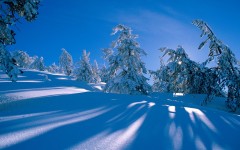 Desktop wallpaper. Nature. ID:30794