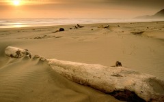 Desktop wallpaper. Nature. ID:30798