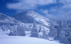 Desktop wallpaper. Nature. ID:30814