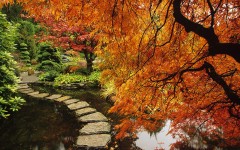 Desktop wallpaper. Nature. ID:30816