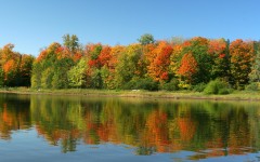 Desktop wallpaper. Nature. ID:30827