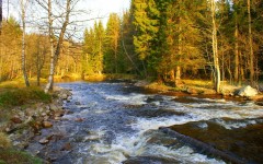 Desktop wallpaper. Nature. ID:30828