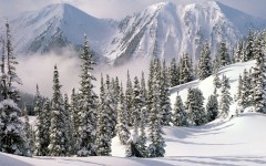Desktop wallpaper. Nature. ID:30832