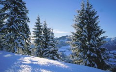 Desktop wallpaper. Nature. ID:30836