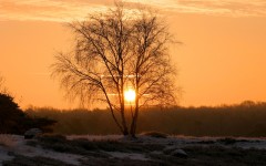 Desktop wallpaper. Nature. ID:30842