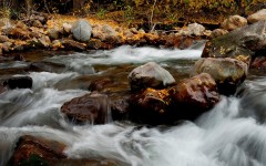 Desktop wallpaper. Nature. ID:30849