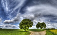 Desktop wallpaper. Nature. ID:30852