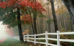 Desktop wallpaper. Nature. ID:30855