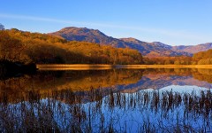 Desktop wallpaper. Nature. ID:30858