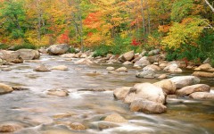 Desktop wallpaper. Nature. ID:30860