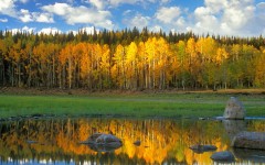 Desktop wallpaper. Nature. ID:30861