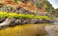 Desktop wallpaper. Nature. ID:30863