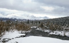 Desktop wallpaper. Nature. ID:30868