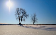 Desktop wallpaper. Nature. ID:30869