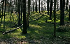 Desktop wallpaper. Nature. ID:30871