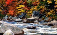 Desktop wallpaper. Nature. ID:30875