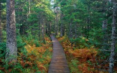 Desktop wallpaper. Nature. ID:30879