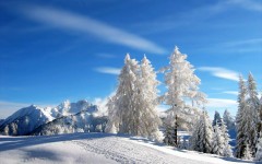 Desktop wallpaper. Nature. ID:30884