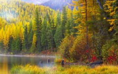 Desktop wallpaper. Nature. ID:30894