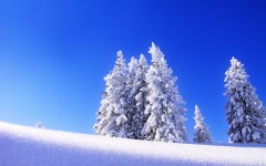 Desktop wallpaper. Nature. ID:30908