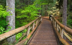 Desktop wallpaper. Nature. ID:30912