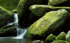 Desktop wallpaper. Nature. ID:30919