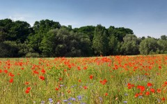 Desktop wallpaper. Nature. ID:30921