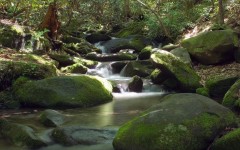 Desktop wallpaper. Nature. ID:30933
