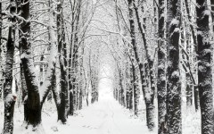 Desktop wallpaper. Nature. ID:30934