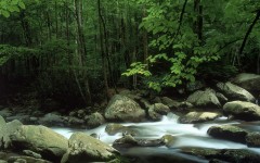 Desktop wallpaper. Nature. ID:30941